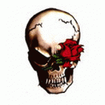 Totenkopf mit Rose