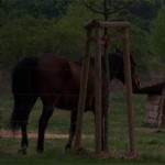 Freizeit und Wildpark Johannismühle