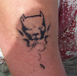 Oberarm Tattoo beim Parkfest in Zabeltitz