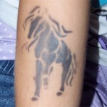 Pferde Airbrush Tattoo