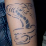 Snake Airbrush Tattoo